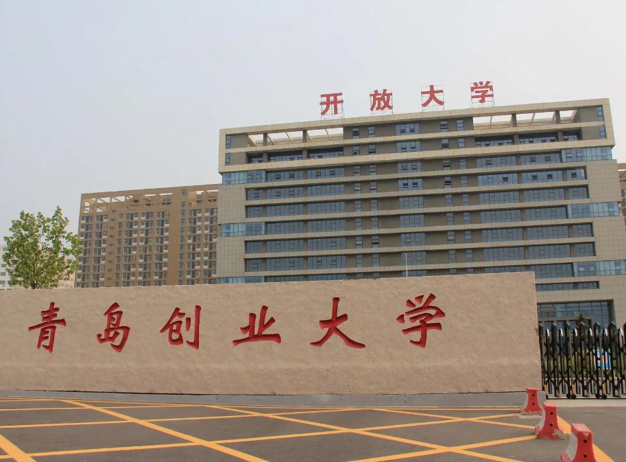 青岛开放大学师资-王海宝